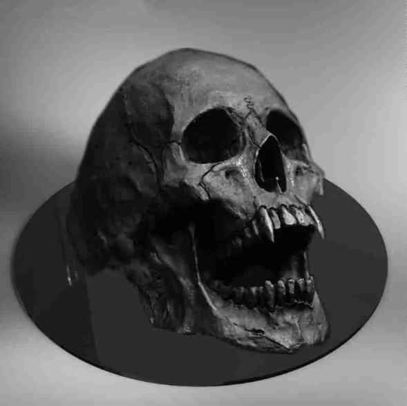 Dracula Skull Ring - Stainless Steel(Dracula Skull Ring Stainless Steel) 6 Dracula Skull Ring - Stainless Steel(Dracula Skull Ring Stainless Steel) - Image 4