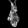 Anubis Pendant(Anubis Pendant Pendant And Necklace 316l Stainless Steel Good Built Quality)