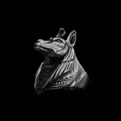 ANUBIS RING(Anubis Ring) -Crewskull anubis ring 496