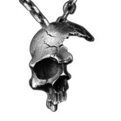 Broken Skull Necklace "Destroy" - Resin Pendant, Steel Chain(Broken Skull Necklace Destroy) -Crewskull broken skull necklace destroy 631