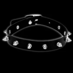 Choker With Spikes(Choker With Spikes) -Crewskull choker with spikes 900