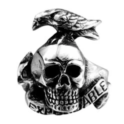 Stainless Steel Crow Skull Ring - Gothic Biker Jewelry(Stainless Steel Crow Skull Ring) -Crewskull crow skull ring 821