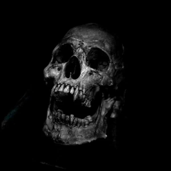 Dracula Skull Ring - Stainless Steel(Dracula Skull Ring Stainless Steel) 5 Dracula Skull Ring - Stainless Steel(Dracula Skull Ring Stainless Steel) - Image 3