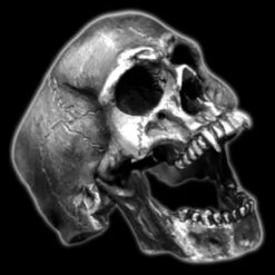 Dracula Skull Ring - Stainless Steel(Dracula Skull Ring Stainless Steel)