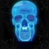 Human Skull Lamp(Human Skull Lamp)