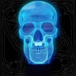 Human Skull Lamp(Human Skull Lamp)