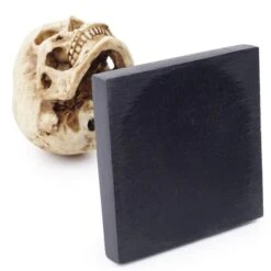 Human Skull Statue Sculpture(Human Skull Statue Sculpture) -Crewskull human skull statue sculpture 374