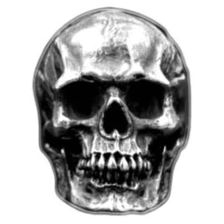Large Skull Ring(Large Skull Ring 316l Stainless Steel) -Crewskull large skull ring 745