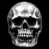 Large Skull Ring(Large Skull Ring 316l Stainless Steel)