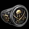 Pirate Ring(Pirate Ring) 1 Pirate Ring(Pirate Ring) -Crewskull pirate ring 633
