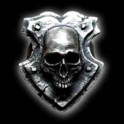 Shield Skull Ring(Shield Skull Ring)