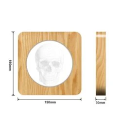 Skull Night Lamp(Skull Night Lamp Ccccecqc Certified Warm White Led Bulbs) -Crewskull skull night lamp 744