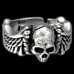 Skull Wings Ring(Skull Wings Ring)
