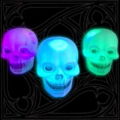 Small Skull Lamp(Small Skull Lamp)