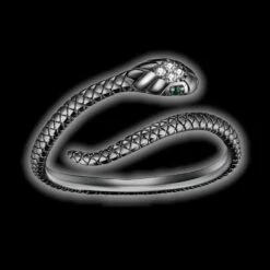 Sterling Silver Coffin Ring(Sterling Silver Coffin Ring)