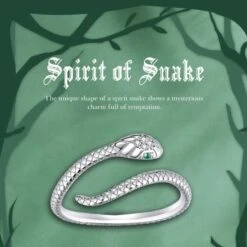 Sterling Silver Coffin Ring(Sterling Silver Coffin Ring) -Crewskull sterling silver coffin ring 884