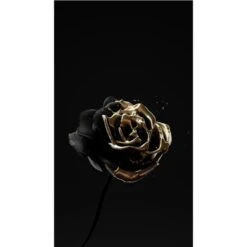 Supreme(Supreme) -Crewskull supreme 207