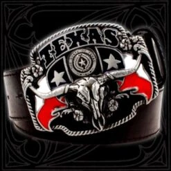 Texas Belt Buckle(Texas Belt Buckle)