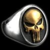 The Punisher Ring(The Punisher Ring)