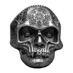 Vampire Skull Ring(Vampire Skull Ring 316l Stainless Steel Durable) -Crewskull vampire skull ring 237
