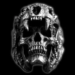 Viking Skull Ring(Viking Skull Ring)